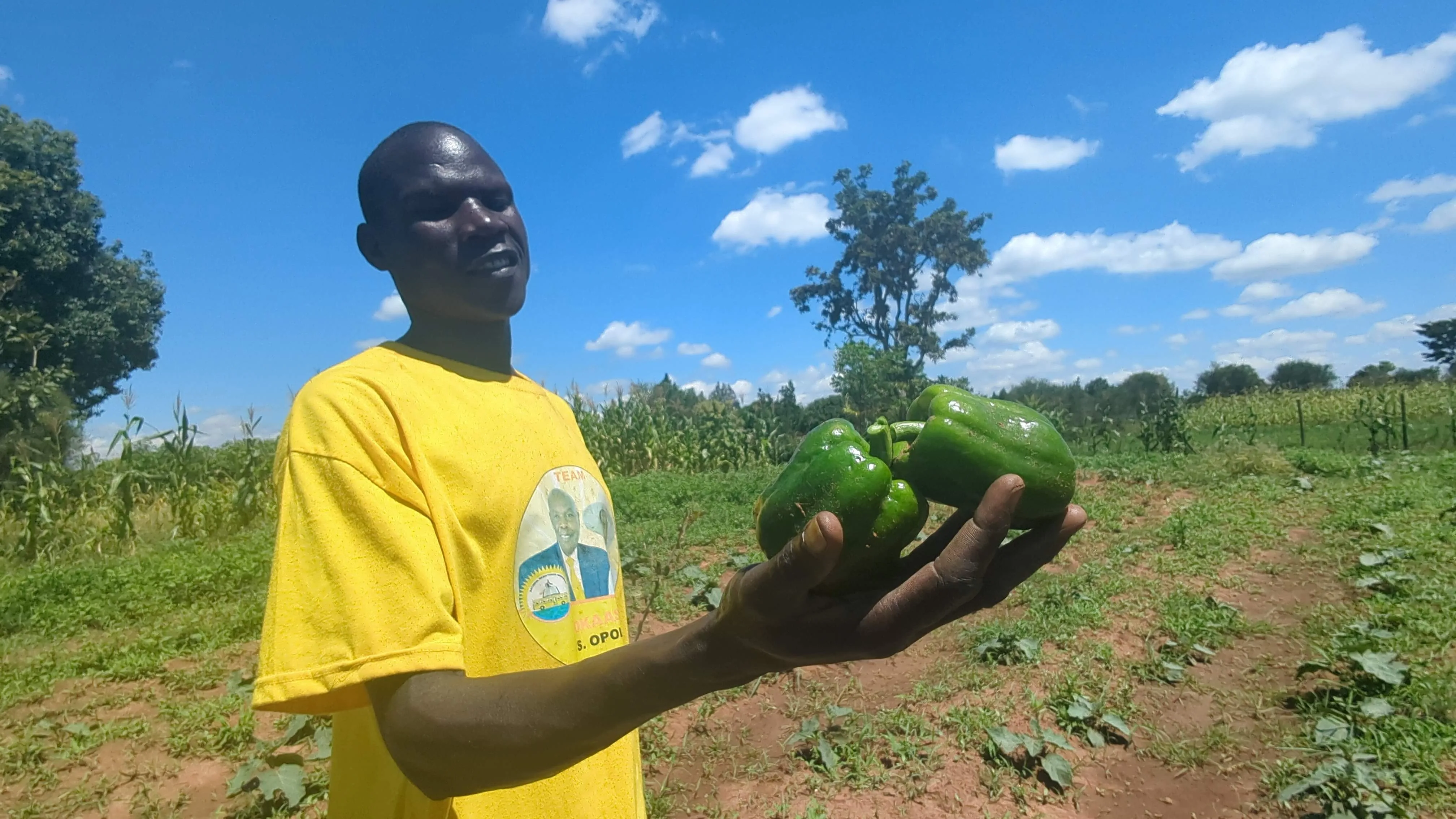 AgriNest farmer holding fresh green peppers